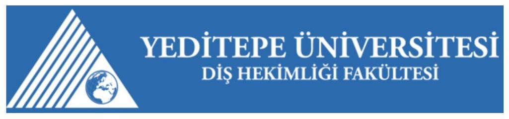 Yeditepe Üniversitesi